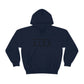 Eyes never Lie men's Hoodie sweatshirt.